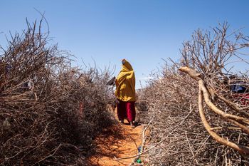 dip camp in south Galkayo