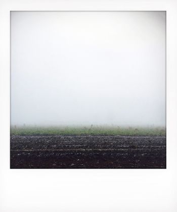 Visual notes from the North York Moors, UK. Solitude to Birdsong