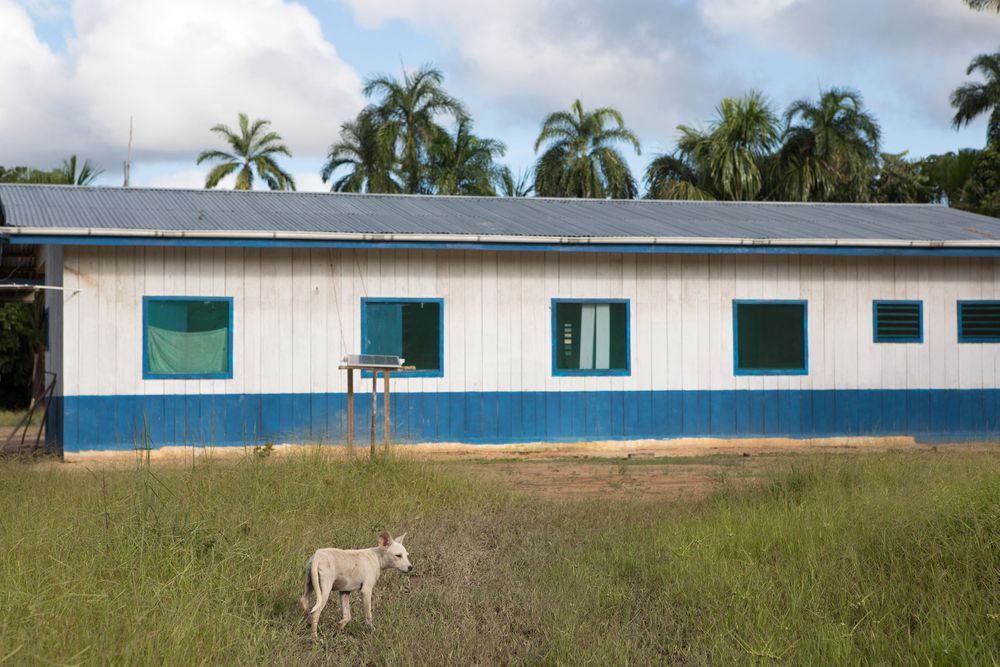 The health centre at the village of Rio Novo. Amazon