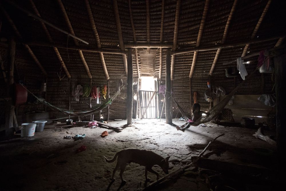 The communal Moloca at Rio Novo. Amazon