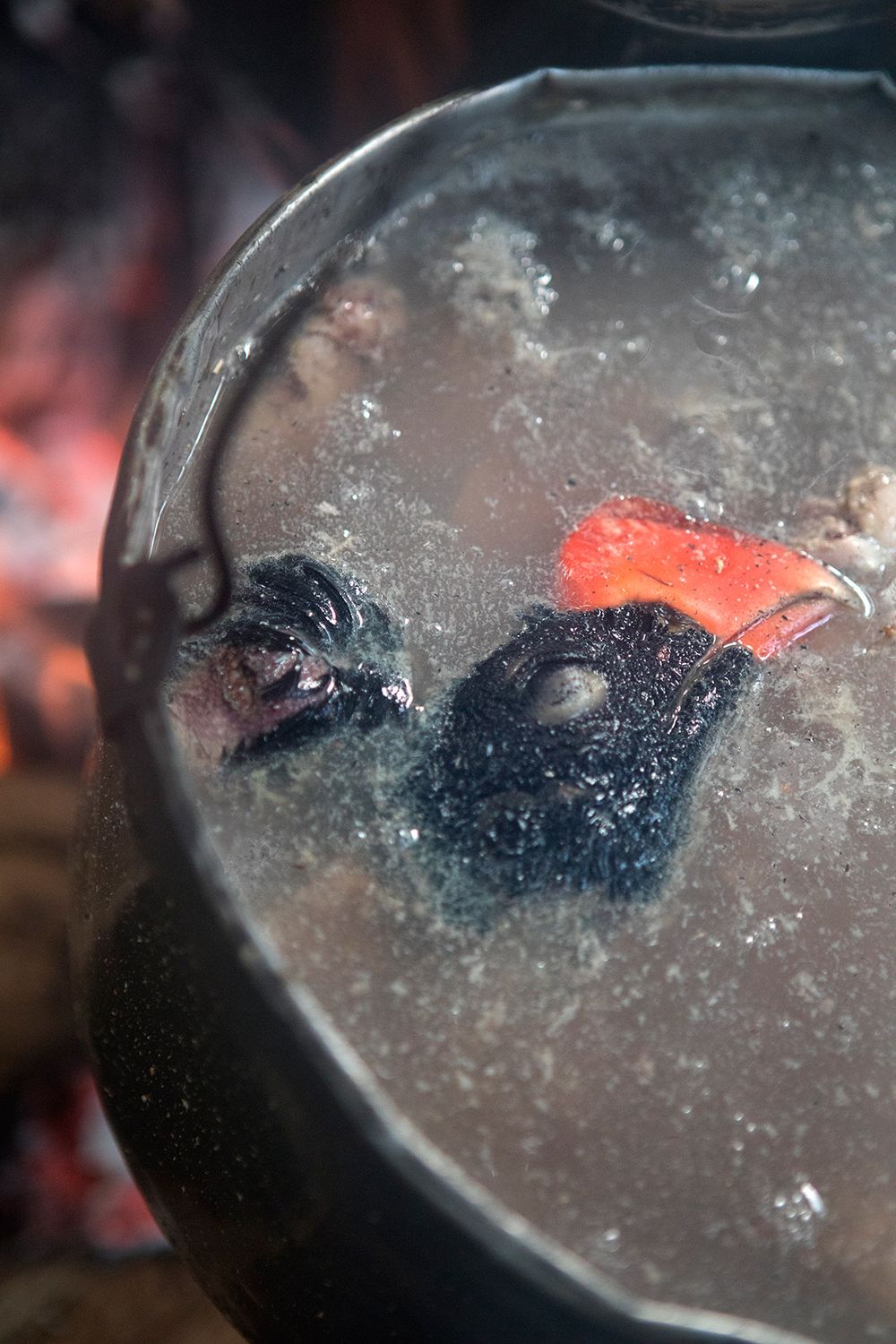 Mutum bird hunted during the expedition is cooked on the fire during the evenings camp through the Vale do Javari. Amazon