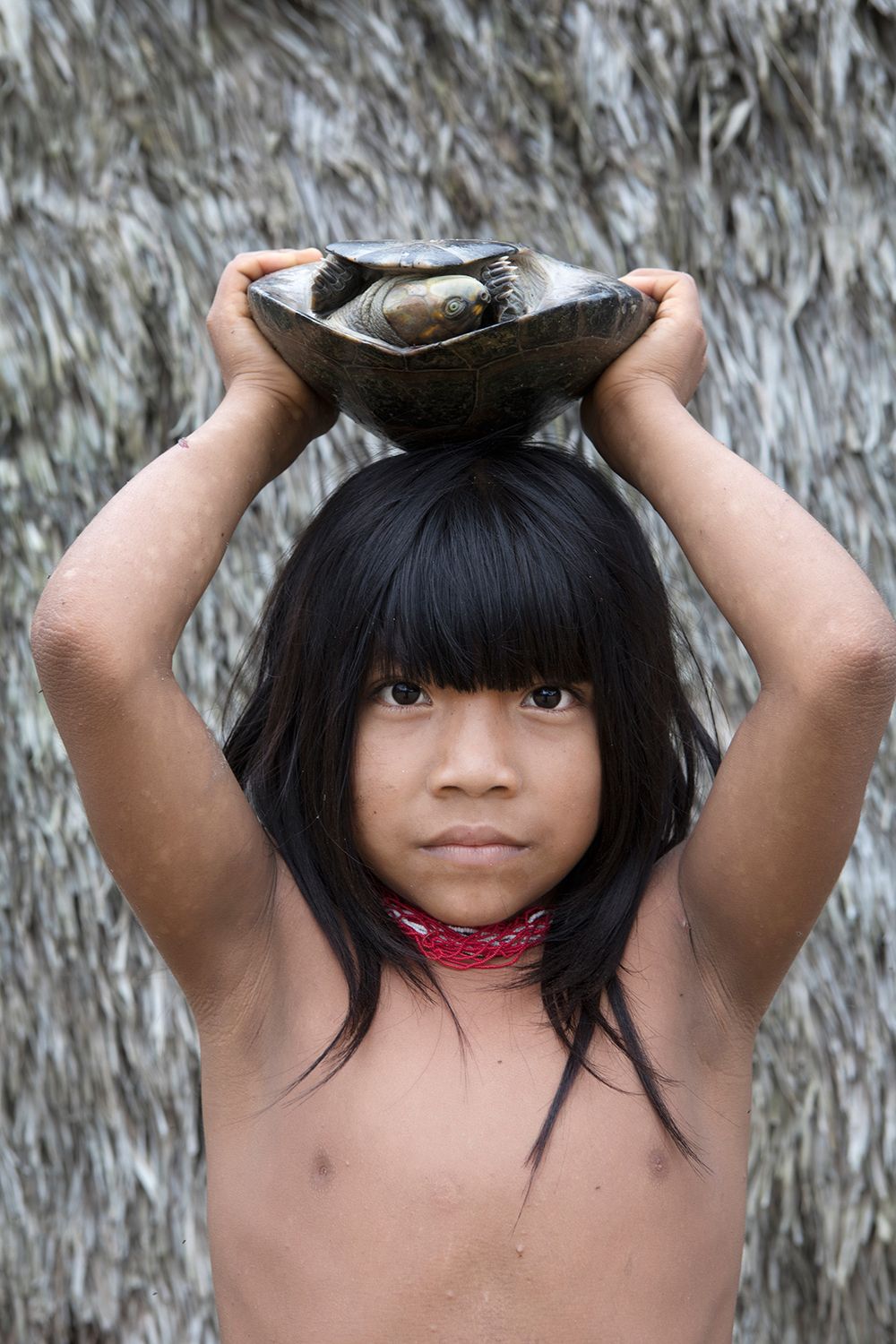 Sheta Marubo holding a turtle that was caught on a fishing trip, Rio Novo. Amazon