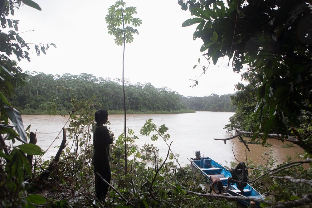 After 60 kilometres of tracking through the Amazon Xikxuvo Vakwë, 12, watches on as the boat to collect the Funai expedition team arrives at an opening along the Rio Itui ready to collect the team and return them to the Marubo village of Rio Novo. Amazon