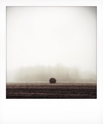 Visual notes from the North York Moors, UK. Solitude to Birdsong