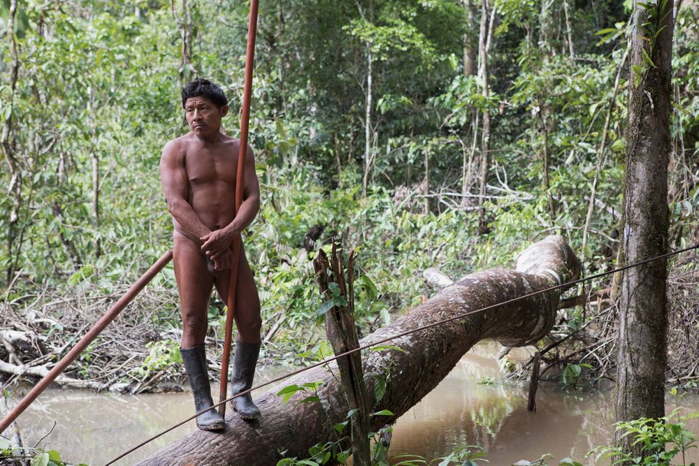 Korubo Chief Xikxuvvo Korubo at the entrance to the Korubo village alongside the Rio Itui. Amazon