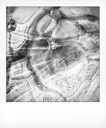 Visual notes from the North York Moors, UK. Solitude to Birdsong
