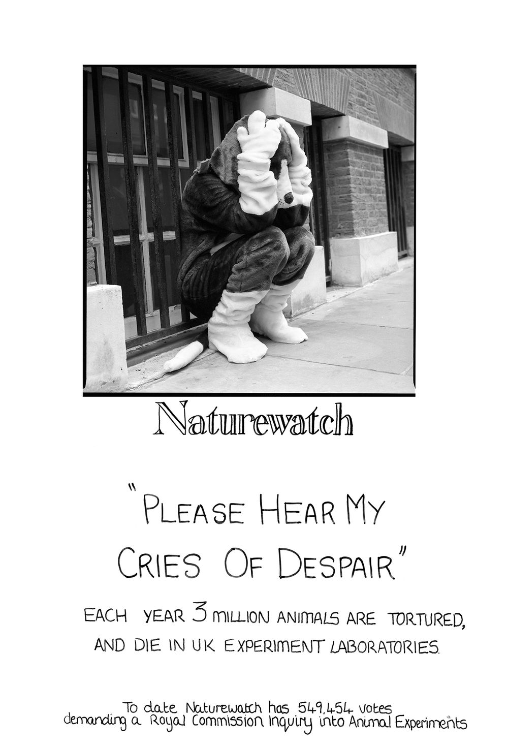 Naturewatch-copy.jpg