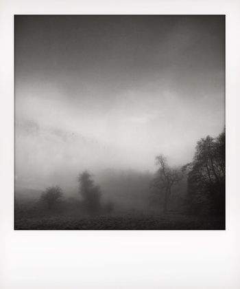 Visual notes from the North York Moors, UK. Solitude to Birdsong