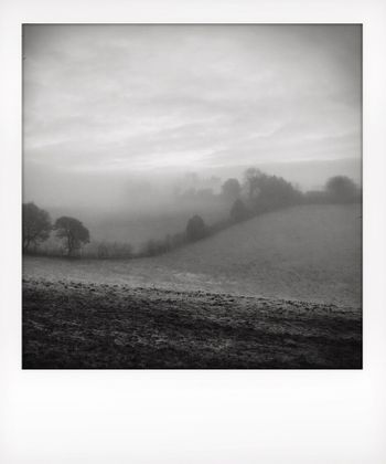 Visual notes from the North York Moors, UK. Solitude to Birdsong.