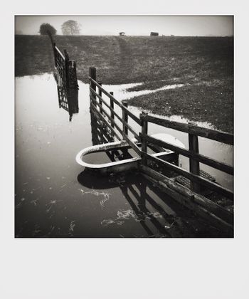Visual notes from the North York Moors, UK. Solitude to Birdsong