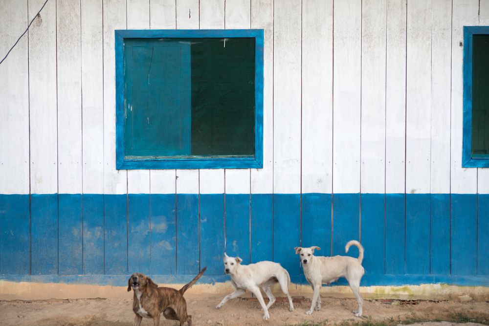 Marubo village of rio novo. Amazon