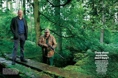 Squirrels1-opening-spread.jpg