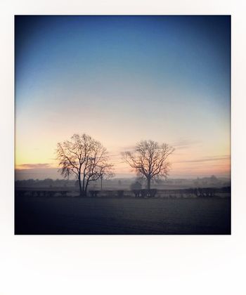 Visual notes from the North York Moors, UK. Solitude to Birdsong.