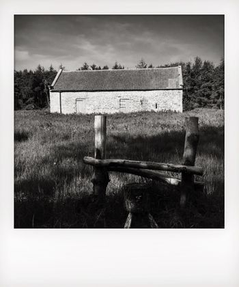 Visual notes from the North York Moors, UK. Solitude to Birdsong.