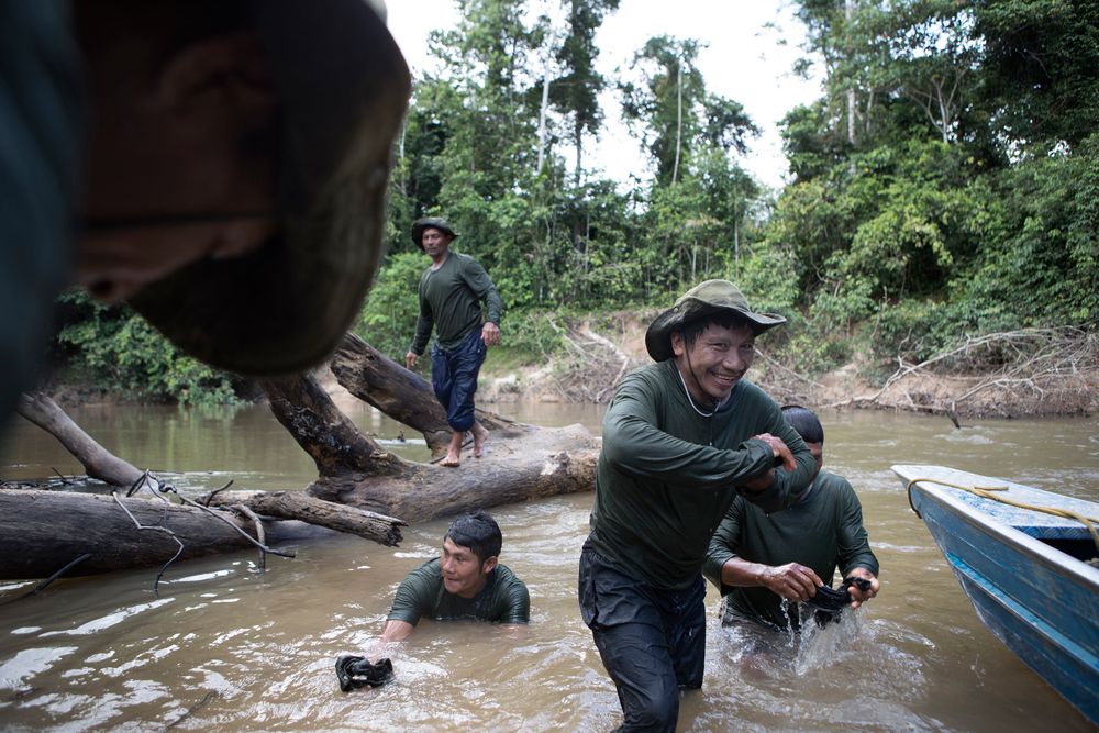 Members of the FUNAI expedition team clear the fallen tree which was preventing the navigation up the Rio Sapota towards the starting point of the expedition to trace the movements of uncontatced people. After cutting into the fallen tree for 1 1/2 hours team members stood on the tree to finally move it. The tree broke and the team members crashed into the river. Amazon