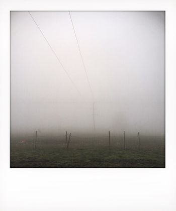 Visual notes from the North York Moors, UK. Solitude to Birdsong