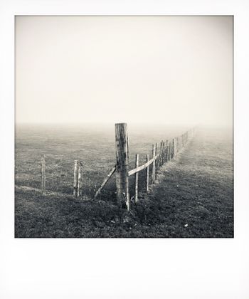 Visual notes from the North York Moors, UK. Solitude to Birdsong.