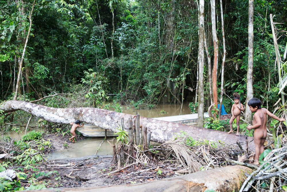Korubo Village in Vale do Javari How to Save the Amazon