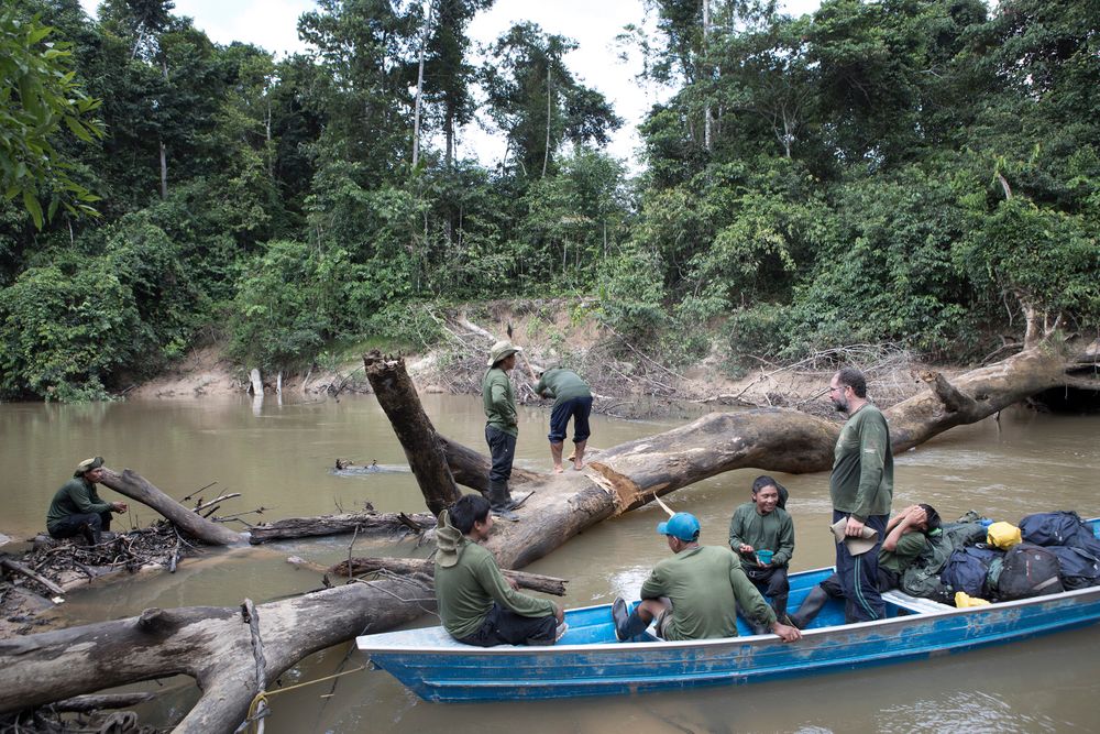 Clearing obstruction during travel in the Vale do Javari Vale do Javari
