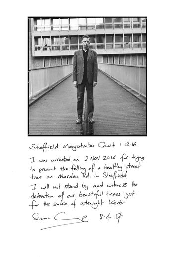 Sheffield tree protest Tree protest