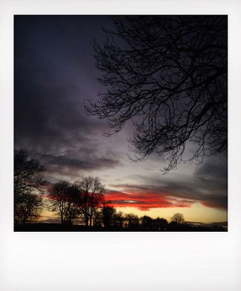 GC North York Moors Polaroids04142020_25.jpg