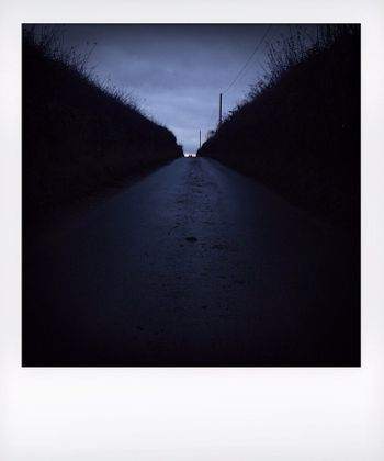 Visual Notes from the North York Moors, UK. Solitude to Birdsong