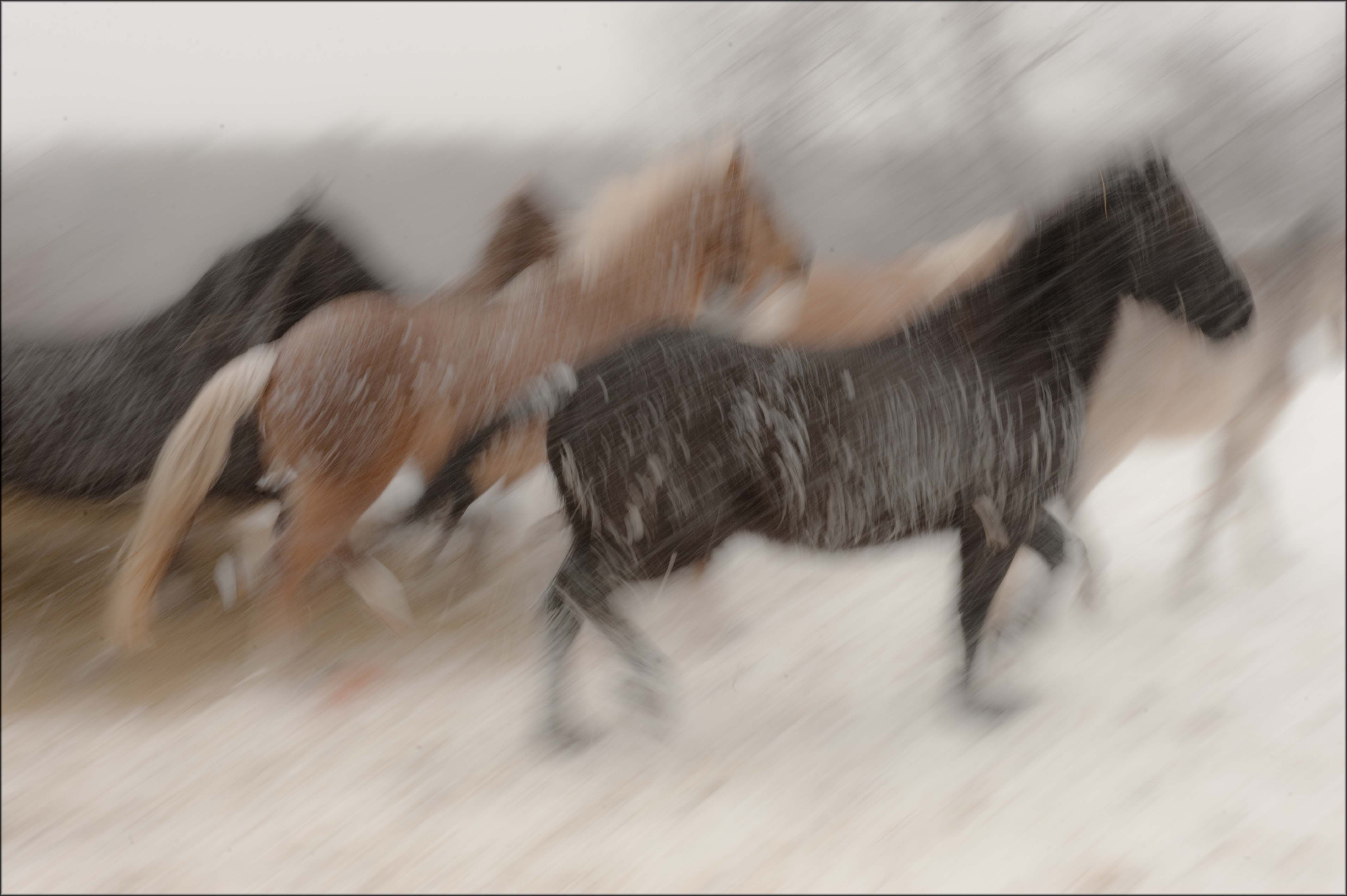 valley fine arts3.jpg