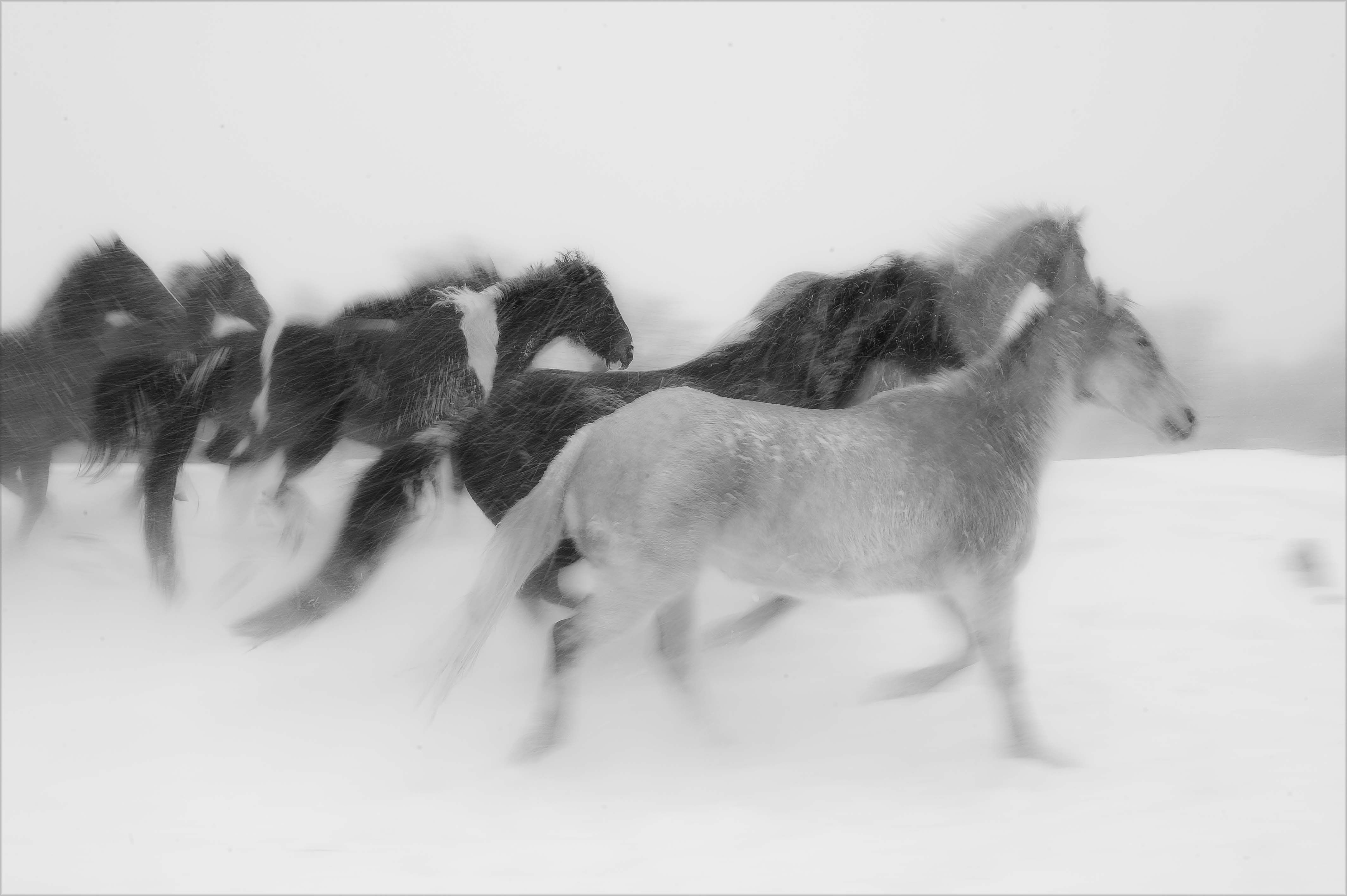 valley fine arts4.jpg