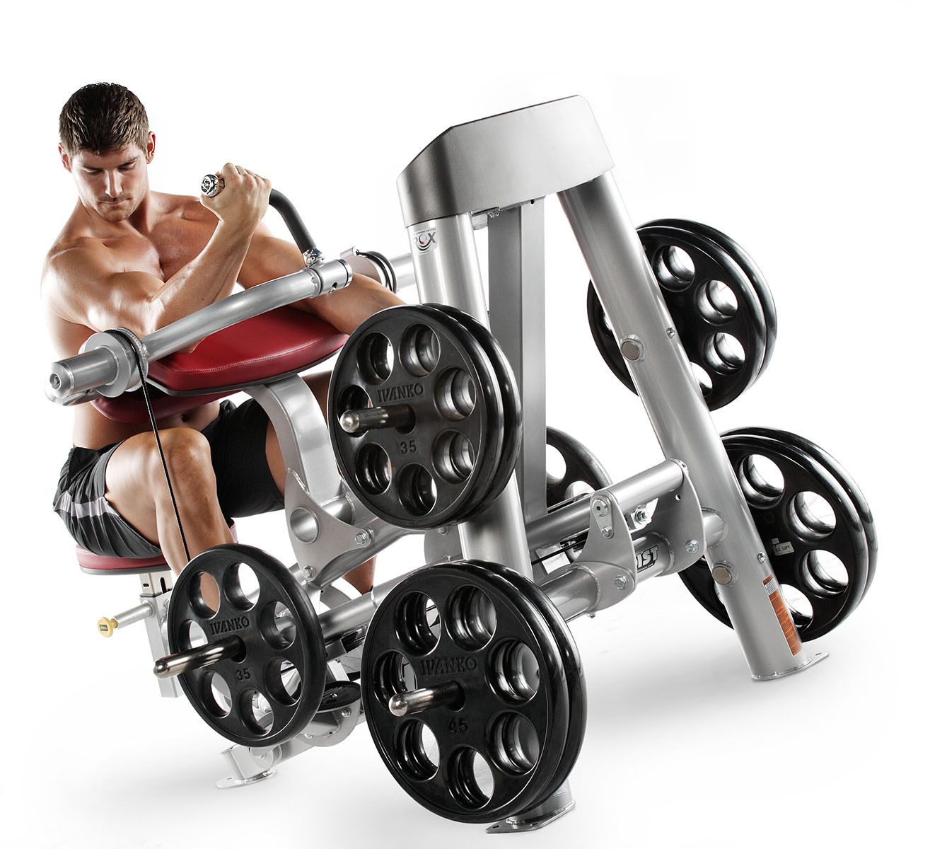 Fitness model using silver bicep curl machine