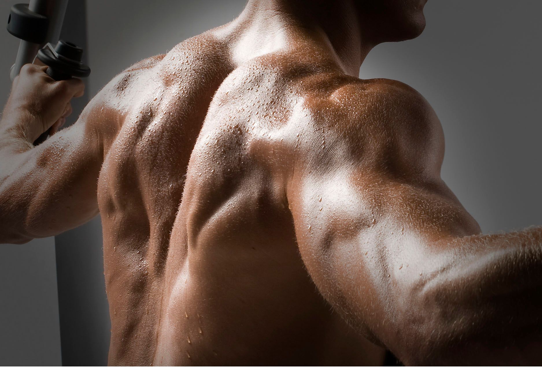 Anatomical study of athletic upper body strength and definition
