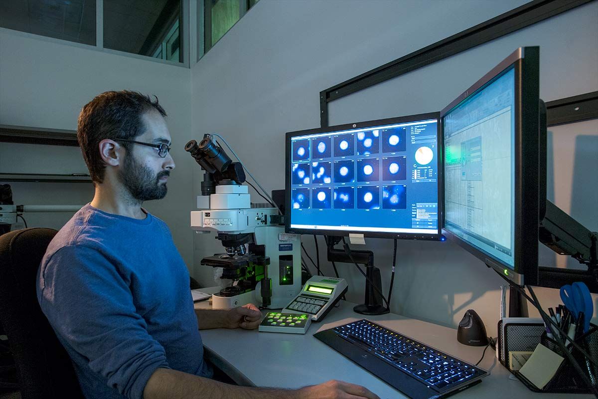Bioinformatics Data Scientist Analyzing Imaging Results in Laboratory