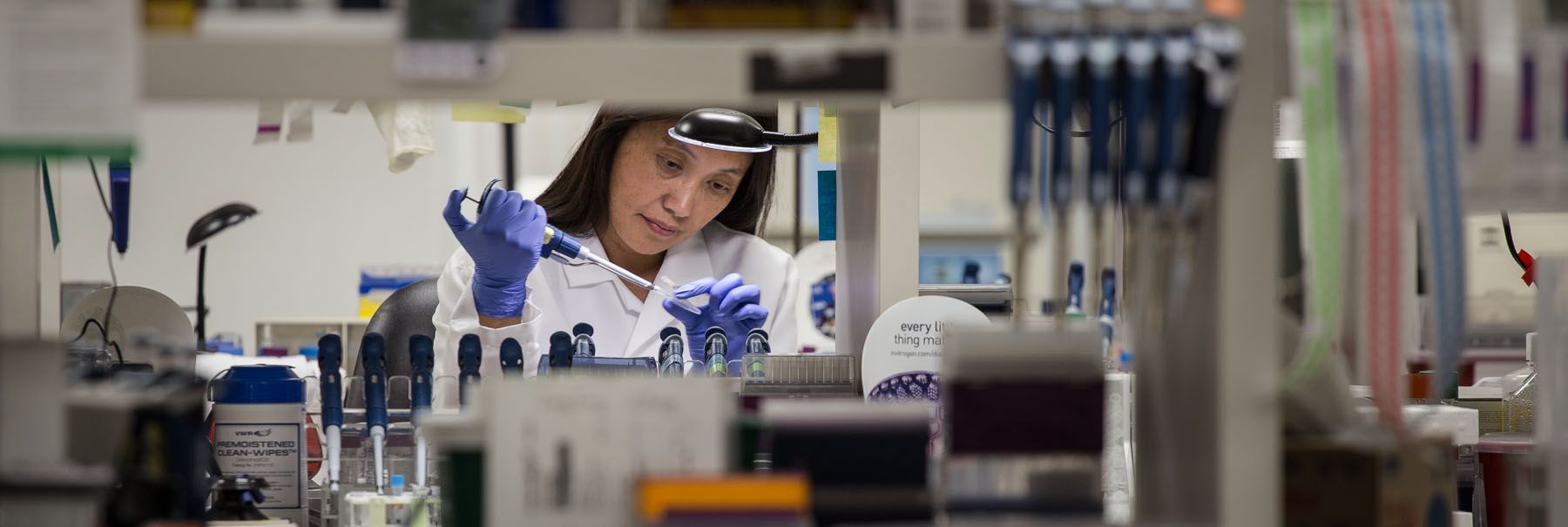 Biotech Laboratory Researcher Pipetting Sample