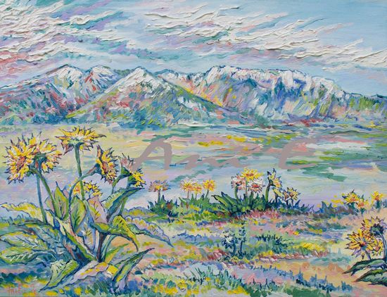 "Balsomroot" oil on canvas 14"x18"