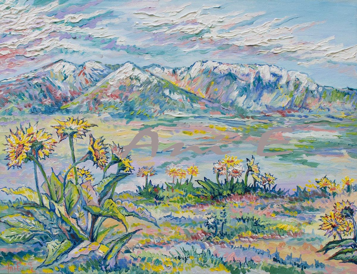 "Balsomroot" oil on canvas 14"x18"