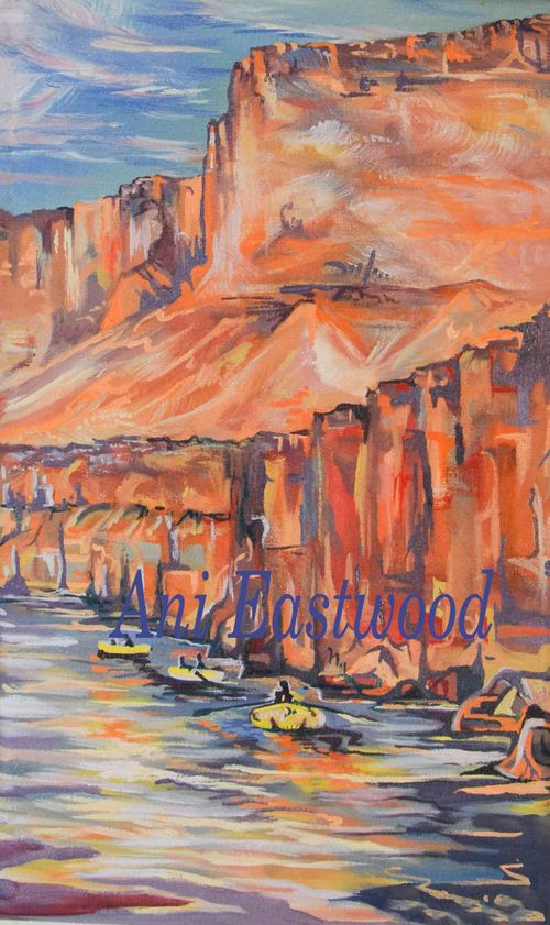 Original Oil Commissioned by private Boater $650 boating through marble canyon