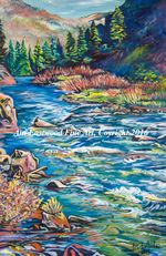 Original Oil on Canvas $2800, dimensions 24"x36", Canvas Giclee Reproduction with handmade frame $300-$500 please contact for size options, Fine Art Paper Giclee 9"x12" $30, 16" x 20" $60, 18"x24" $90 Fall Dogwoods