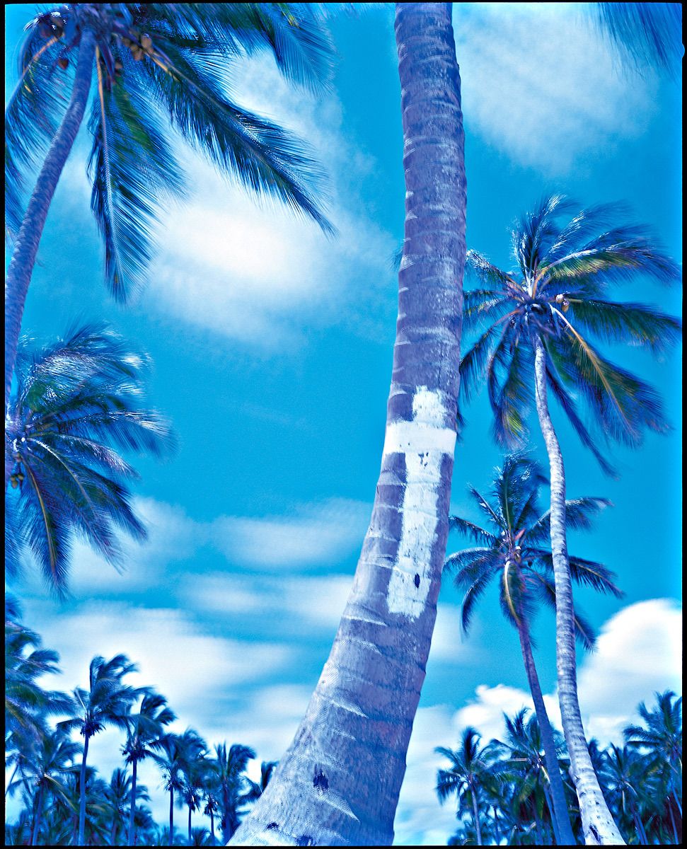 1rob_photo_2_retouch_copy