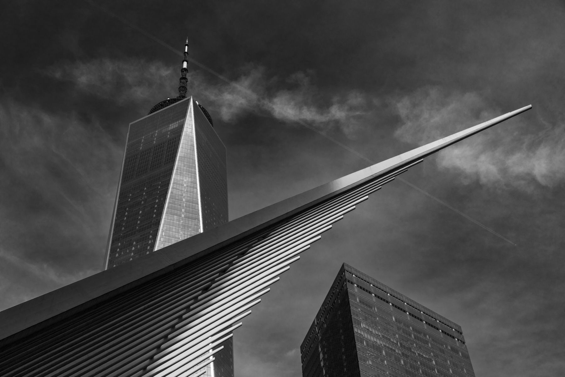 NY_092125_0821.jpg