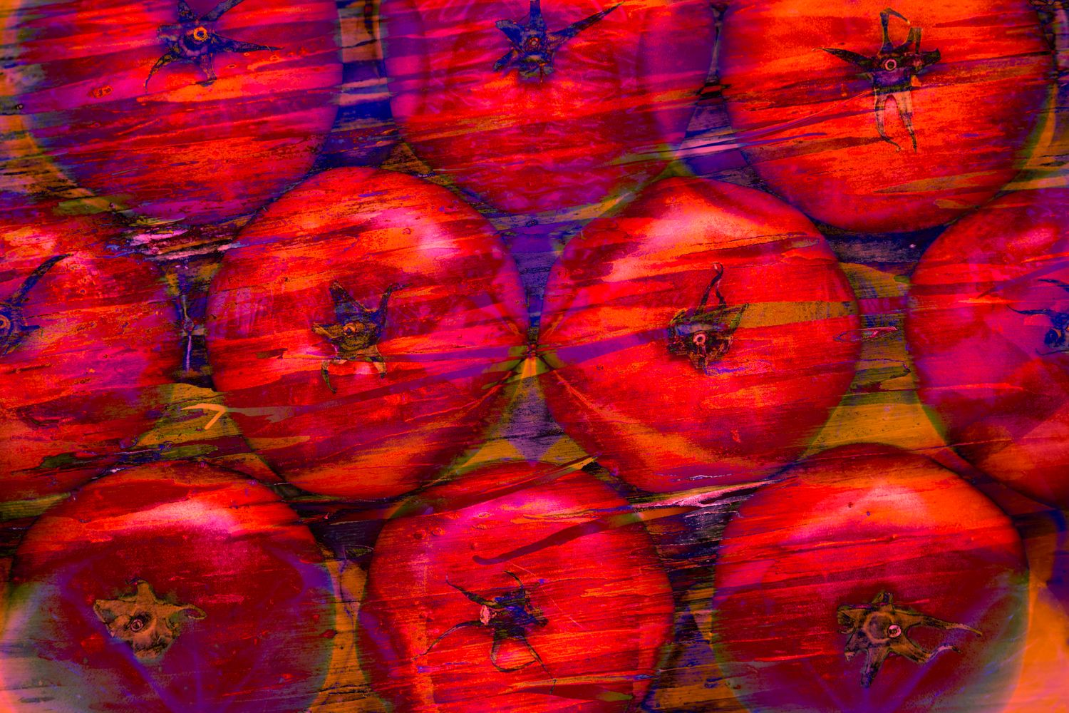 Funky Rainbow-Tomatoes.jpg