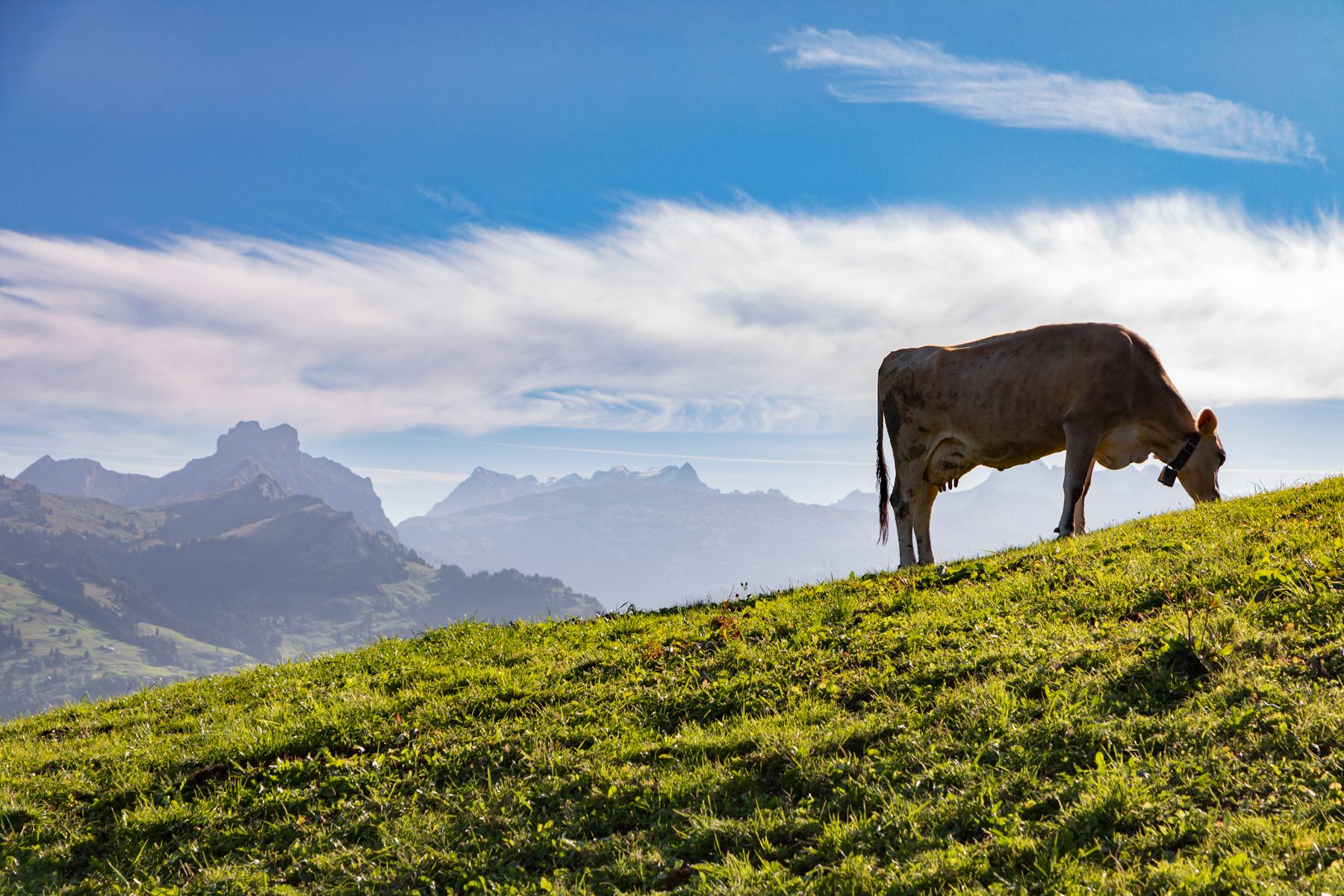 Switzerland_092723_322A9854-Edit.jpg