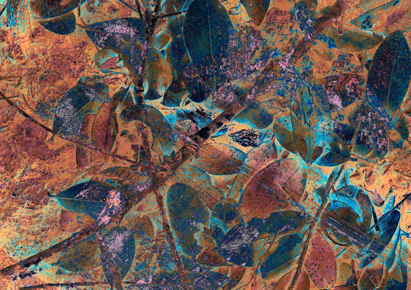 Folliage Transparency Faltten-Difference.jpg