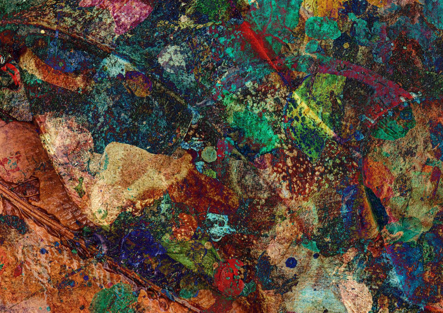 Color Palette-Dry Leaves-Difference.jpg