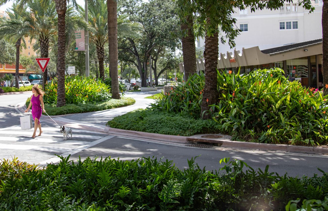 Business Improvement District of Coral Gables  Photo Shoot