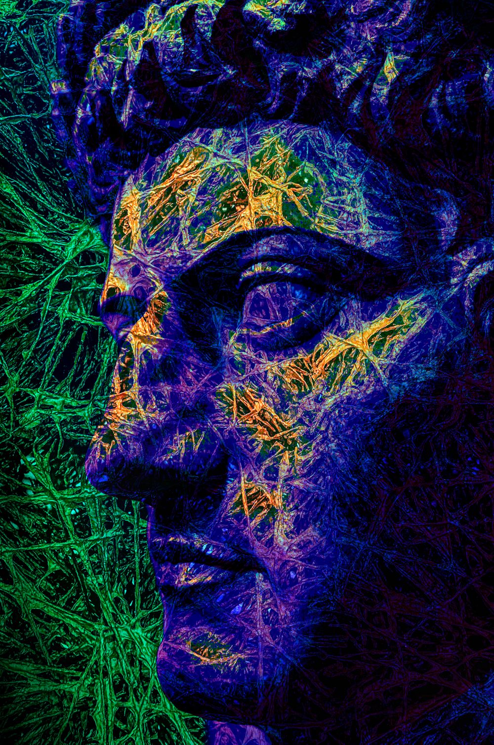 Roman Head_Red Tissue.jpg