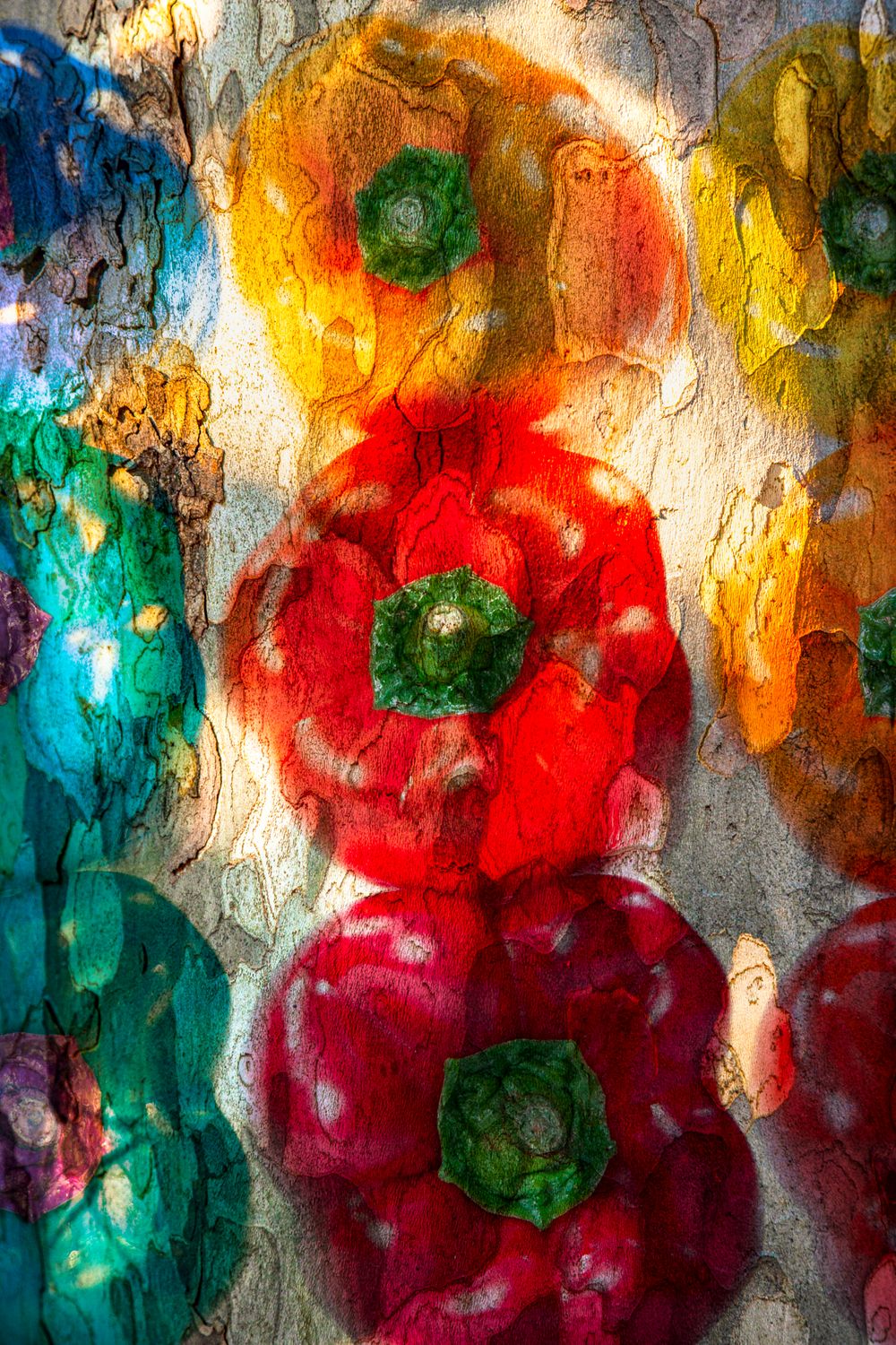 Patterned Peppers.jpg