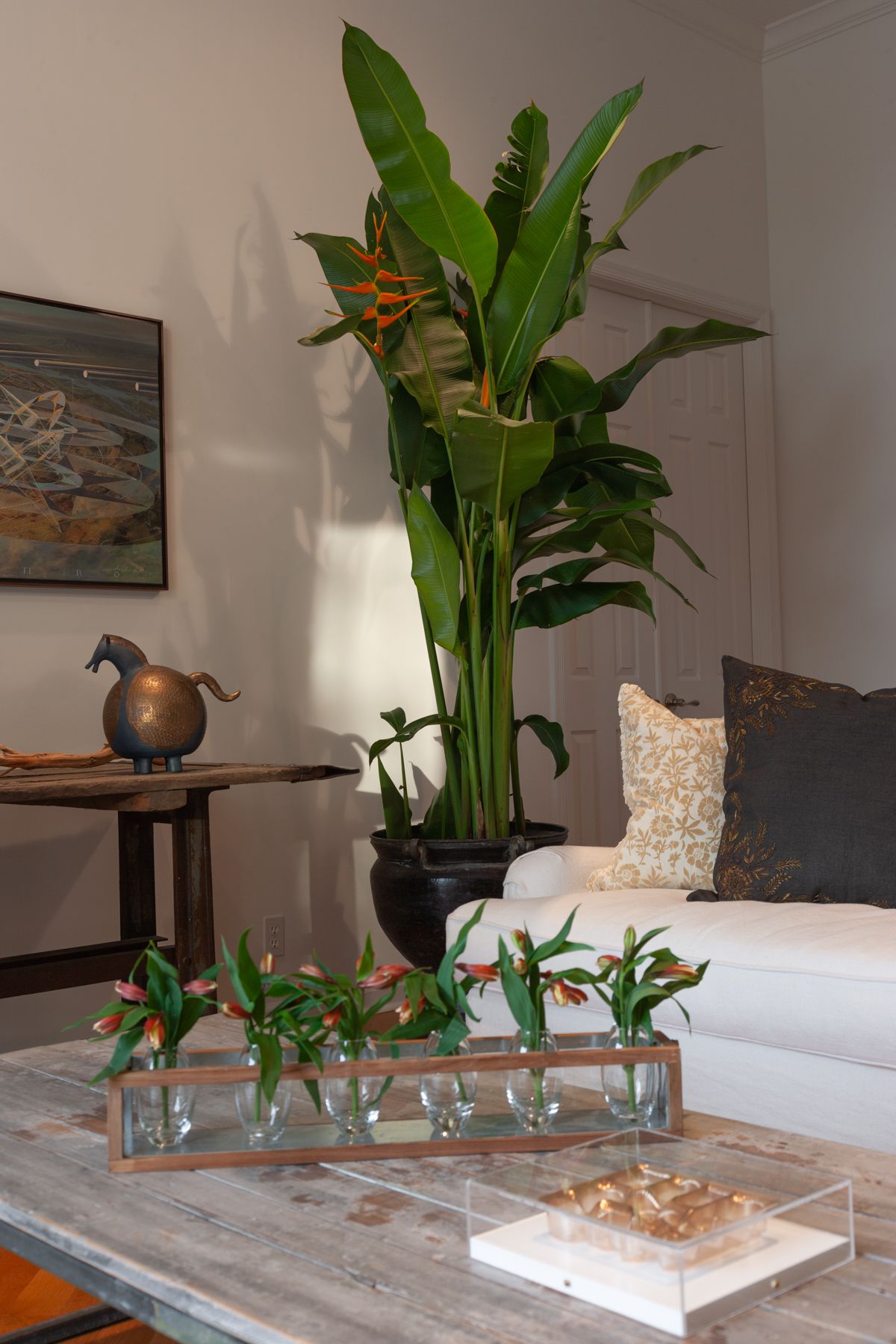 Interior Architecture