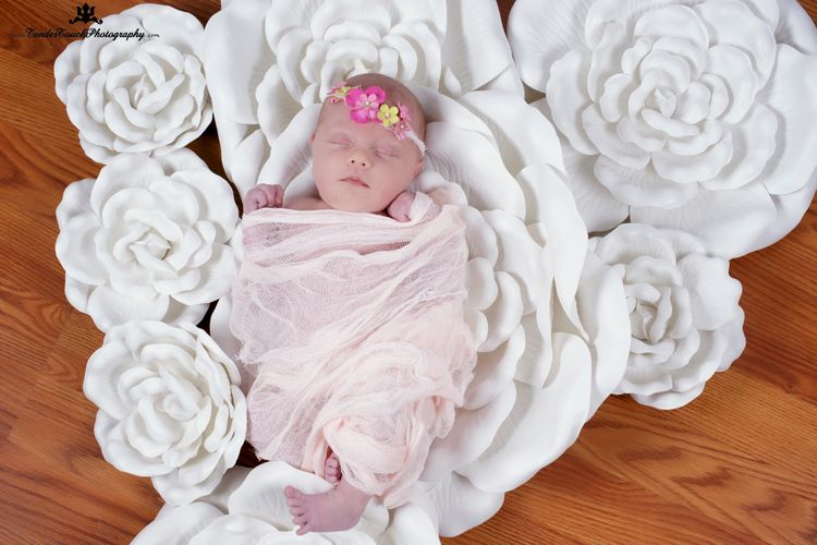 DSC01784 - Version 2.jpg