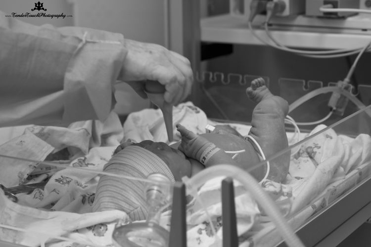 DSC06473 - Version 2.jpg