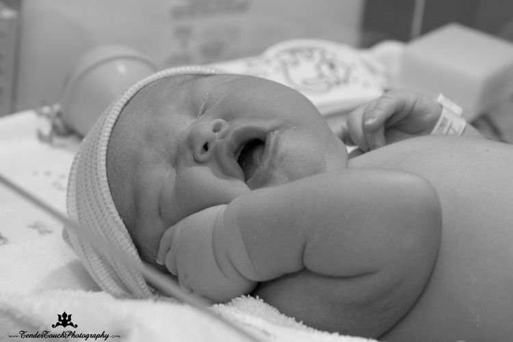 DSC06240 - Version 2.jpg