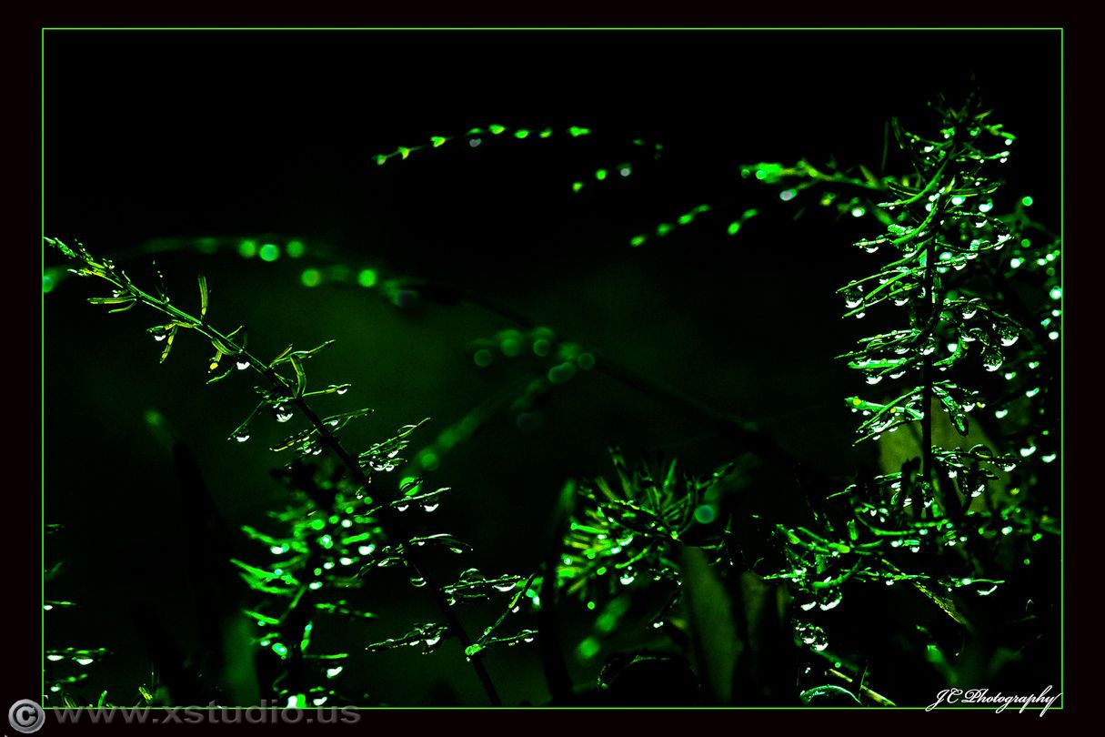 Los Angeles wedding photographe,LA wedding photographer,LA phhotgrapher,OC wedding photographer,Orange County wedding photographer,os angeles photographer jonatha Chang xstudio us, xstudio,